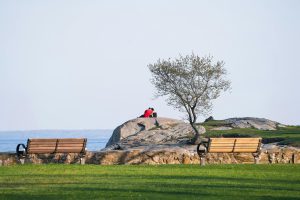 A peaceful lakeside scene with two benches, a tree, and a couple sitting on rocks. Une scène paisible au bord d'un lac avec deux bancs, un arbre et un couple assis sur des rochers.